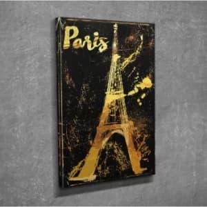 DC161 Multicolor Decorative Canvas Painting