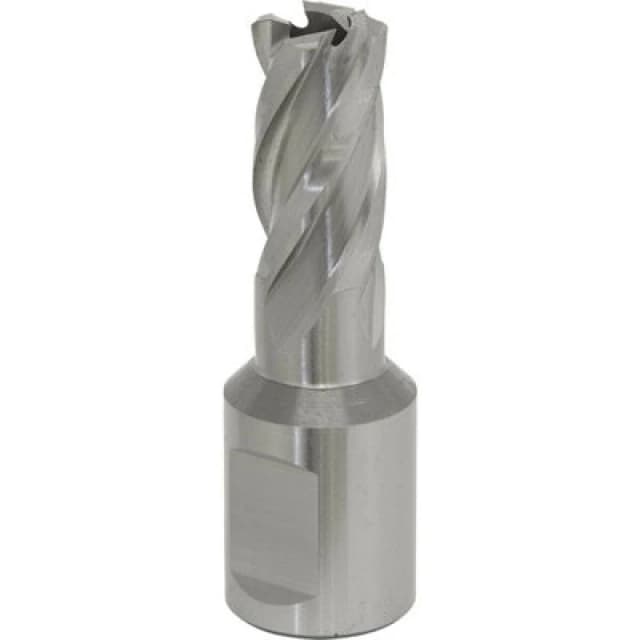 Loops 12mm x 25mm Depth Rotabor Cutter - M2 Steel Annular Metal Core Drill 19mm Shank Metallics