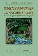encounters with nature spirits co creating with the elemental kingdom
