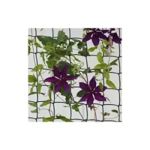 Climbing Plant & Fencing Garden Mesh Outdoor Indoor Fencing Plant Support Plastic Netting for Flowers Plants Protection Cover Pest Deterrent Outdoor