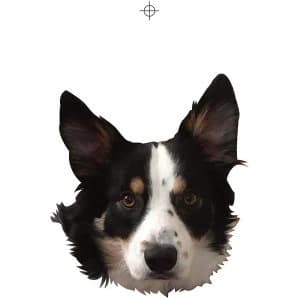 Ginger Wildheart - I Wanna Be Yours Limited Edition Vinyl