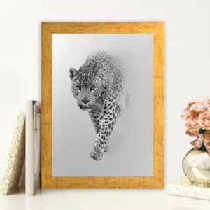 AC787648486 Multicolor Decorative Framed MDF Painting