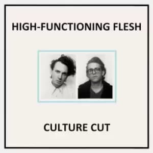 Culture Cut by High-Functioning Flesh Vinyl Album