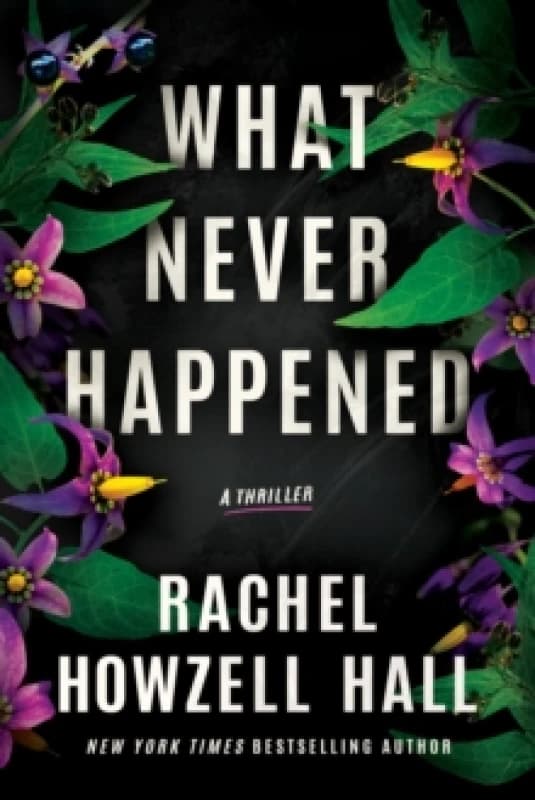 What Never Happened : A Thriller Paperback / softback