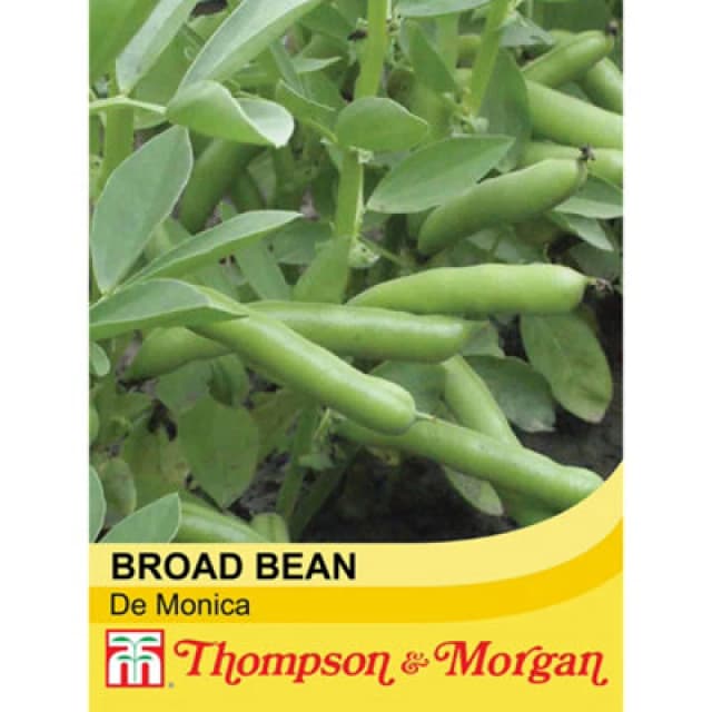 Thompson & Morgan Broad Bean De Monica 1 Seed Packet (40 Seeds)