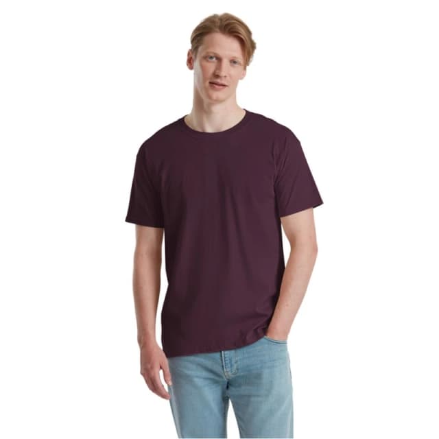 Fruit Of The Loom Fruit of the Loom Men Iconic 195 Ringspun Premium Tshirt in Purple Size: 3X-Large Purple XXXL Male 5063703594738