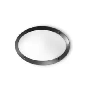 Maddi 1 Light Diffuser Outdoor Flush Ceiling Wall Light Black IP66 E27