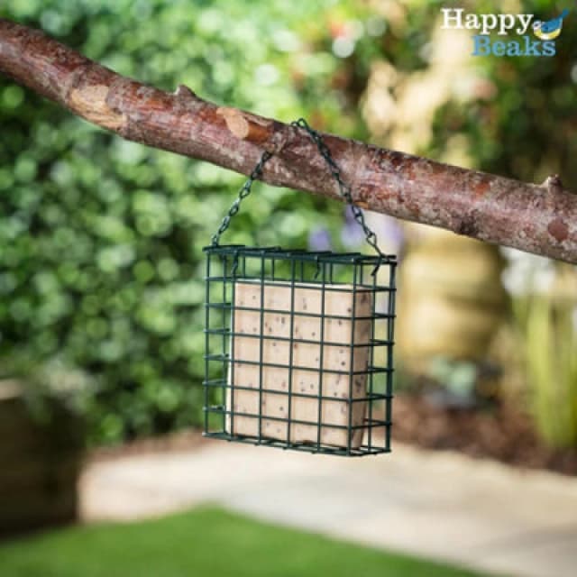Garden Gear Premium High Energy Suet Blocks Seeded Flavour Garden Bird Feed Treat Happy Beaks (6 Pack)