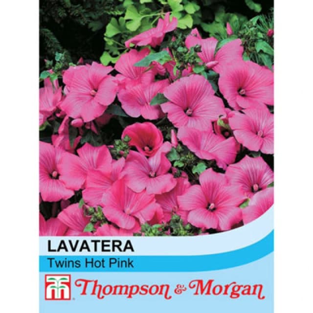 Thompson & Morgan Lavatera Trimestris Twins Hot Pink 1 Packet (25 Seeds)