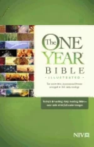 one year bible illustrated niv