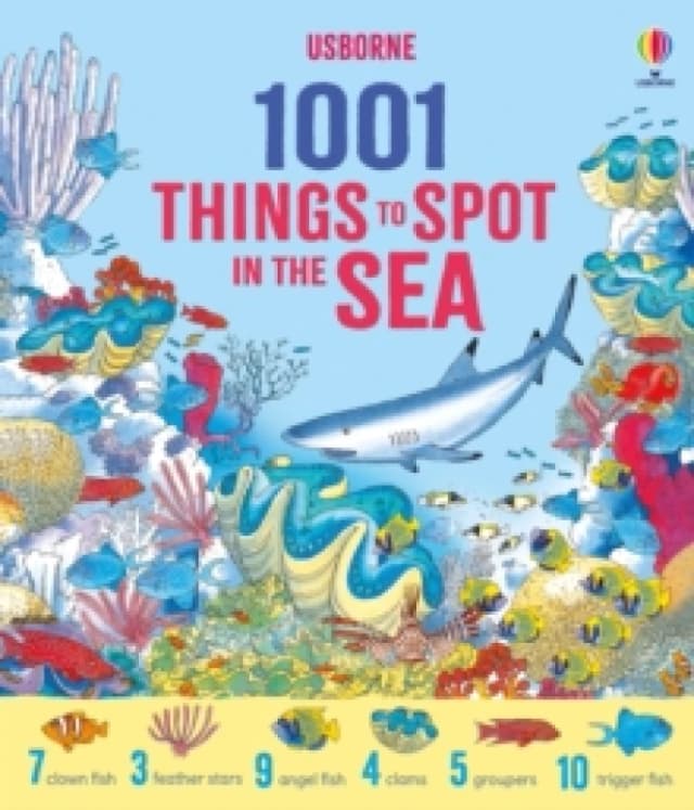 1001 Things to Spot in the Sea Hardback