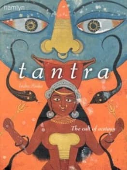 Tantra by Indra Sinha Book