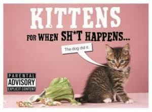 Kittens for When Sh t Happens by Trevor Davies Hardback