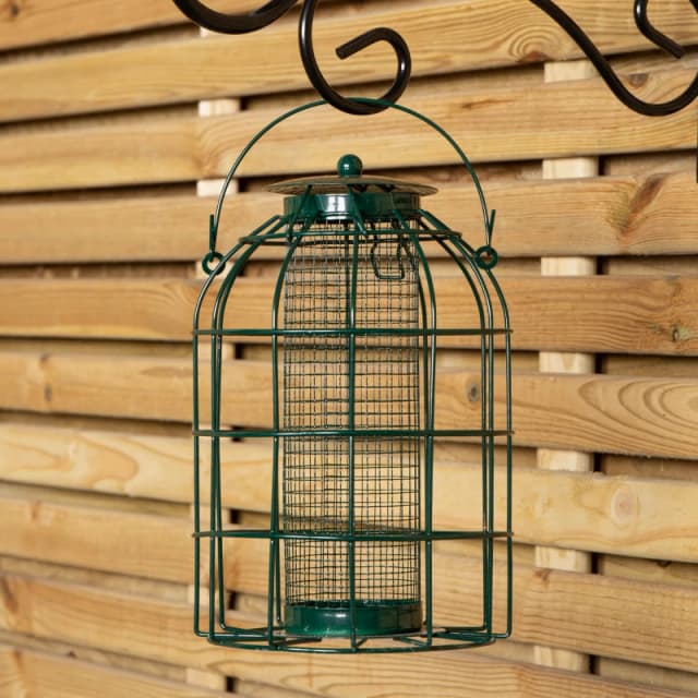 Samuel Alexander Metal Hanging Bird Nut Feeder with Squirrel Guard & Pack of Nut Feed