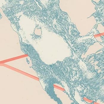 Convulsif - Extinct Vinyl