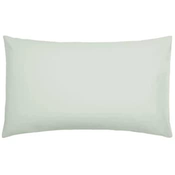 Bedeck of Belfast Bedeck of Belfast 200TC Pima Plain Dye Standard Pillowcases - SAGE