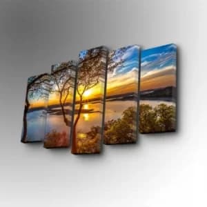 5PUC-117 Multicolor Decorative Canvas Painting (5 Pieces)