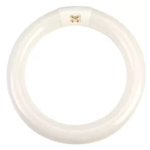 RVFM FC8T9840 22W Circular Cool White Tube 210mm