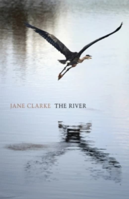 The River Paperback / softback