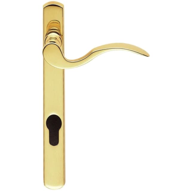 Loops Scroll Lever Door Handle on Lock Backplate Polished Brass 208 x 25mm Metallics