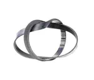 Bosch V-ribbed belt VW,FORD,RENAULT 1 987 947 943 028260849D,028260849L,5750K0 90916W2023,46798891,028260849D,1135719,7198530,95VW6C301AA,117204P10A