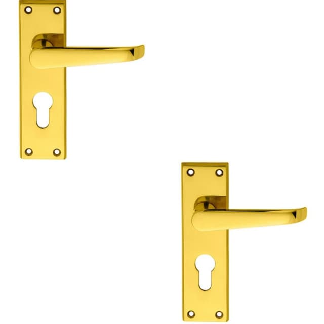 Loops 2x PAIR Straight Victorian Lever on Euro Lock Backplate 150 x 43mm Brass Metallics