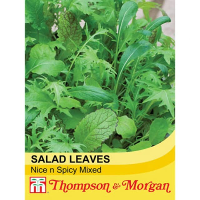 Thompson & Morgan Salad Leaves Nice & Spicy Mixed 1 Seed Packet (250 Seeds)
