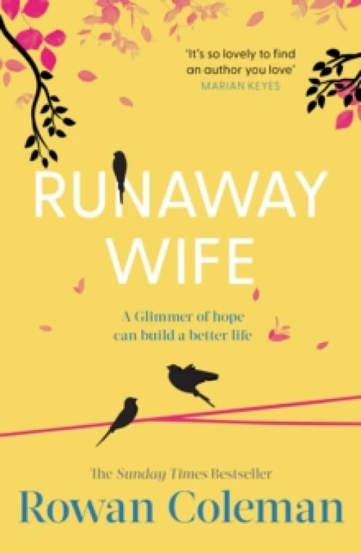Runaway Wife Paperback / softback