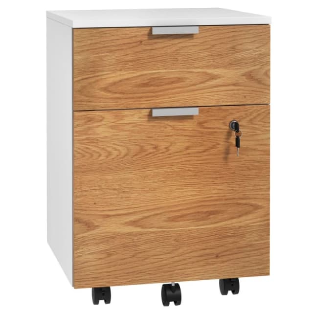 HOMCOM 2 Drawer Filing Cabinet w/ Adjustable Hanging Bars For A4 And Letter 924-089V80ND
