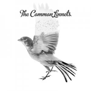 The Common Linnets by The Common Linnets CD Album