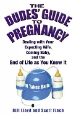 dudes guide to pregnancy
