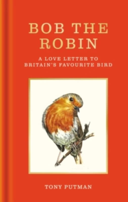 Bob the Robin : A true story of the friendship between one man and Britain's favourite garden bird Hardback