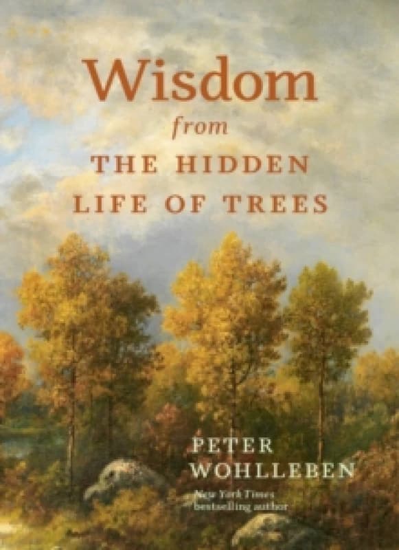 wisdom from the hidden life of t 9781778401404