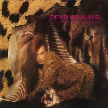 Dead Or Alive - Sophisticated Boom Boom Vinyl