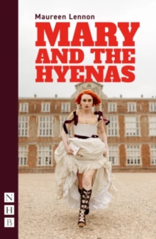 Mary and the Hyenas Paperback / softback