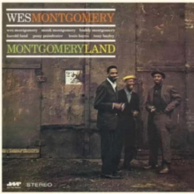 Montgomeryland Vinyl
