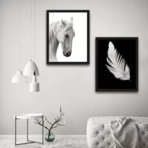 White Feather Horse Set Multicolor Decorative Framed Painting (2 Pieces)
