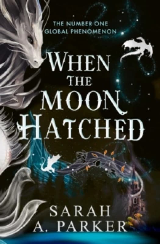 When the Moon Hatched Paperback / softback