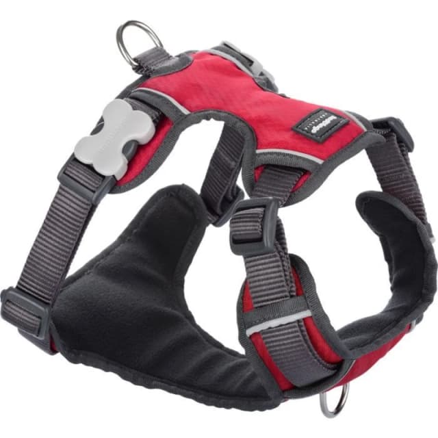Sublime Market Connect Dog Harness - RED DINGO - Sport - Padded - 4 Adjusters - Reflective Stripes red red