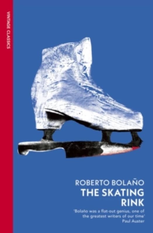 The Skating Rink Paperback / softback