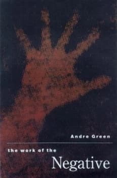 The Work of a Negative by Andre Green Paperback
