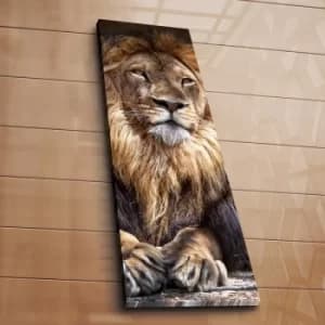 3090C-46 Multicolor Decorative Canvas Painting