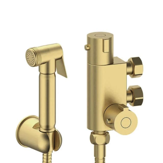 Nes Home Brushed Brass Bidet Douche & Thermostatic Bar Valve with Spray Kit in Gold Gold Unisex