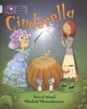Cinderella by David Wood