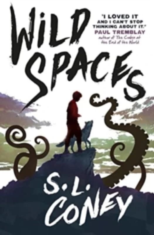Wild Spaces Paperback / softback