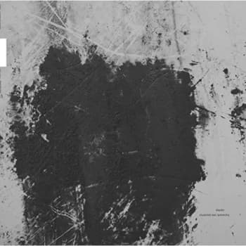 Diaster - Clustered Non Symmetry Vinyl