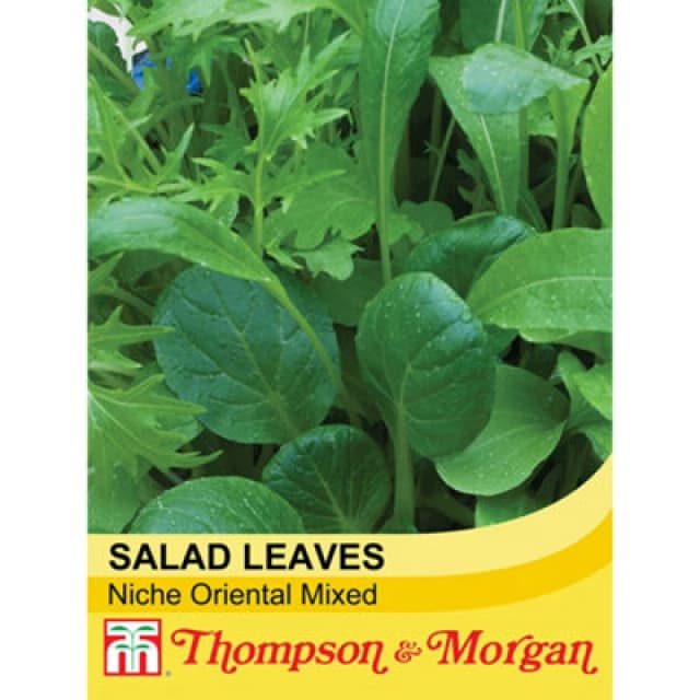 Thompson & Morgan Salad Leaves Niche Oriental Mixed 1 Seed Packet (500 Seeds)
