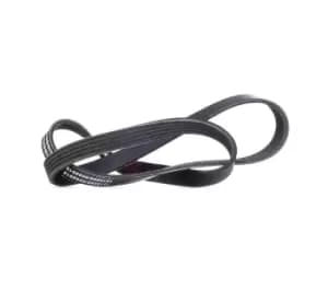 RIDEX V-ribbed belt 305P0164 Serpentine belt,Auxiliary belt BMW,FIAT,TOYOTA,5 Limousine (E39),5 Touring (E39),X5 (E53),7 (E38),8 (E31),TIPO (160)