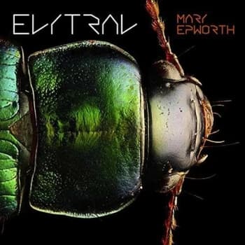 Mary Epworth - Elytral Vinyl
