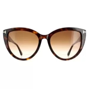 Cat Eye Dark Havana Brown Gradient Isabella FT0915
